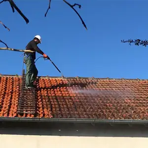 Entreprise de nettoyage de toiture 91